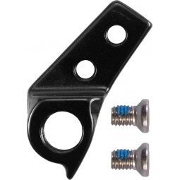 213487 derailleur hanger...