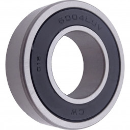 6004 d21.5 LLU Bearing 21.5...
