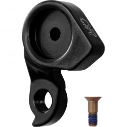 254094 QR Derailleur hanger...