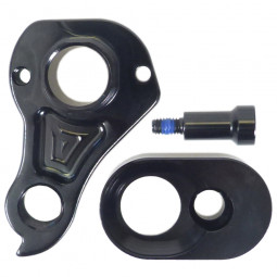 276482 derailleur hanger...