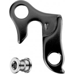 GH-009 derailleur hanger...